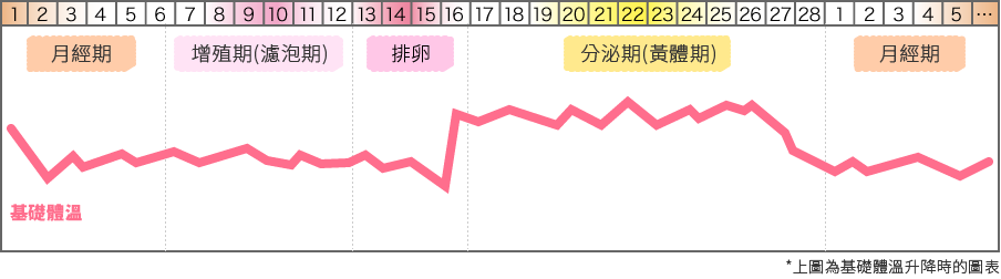 基礎體溫指的是身體處於休息狀態的體溫