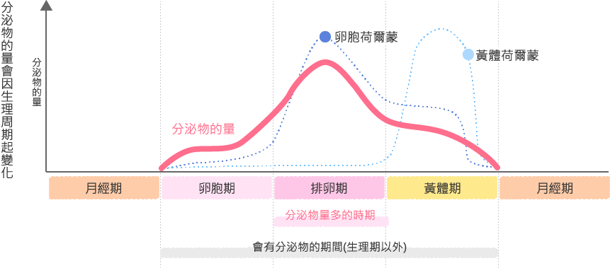 生理 周期 安全日